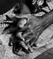 Hands